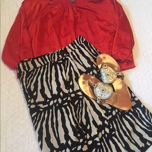 Ann Taylor Skirt